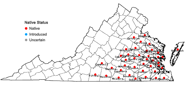 Locations ofQuercus lyrata Walter in Virginia