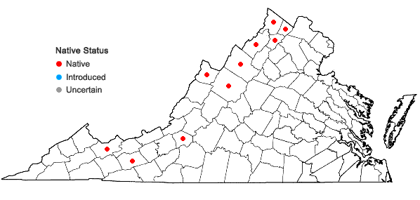 Locations ofQuercus macrocarpa Michaux in Virginia