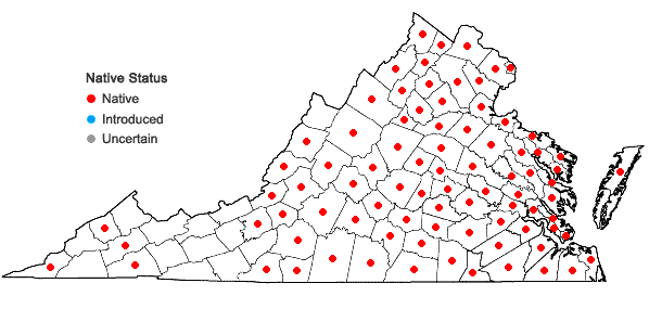 Locations ofQuercus marilandica Muenchhausen var. marilandica in Virginia