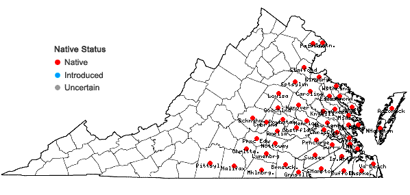 Locations ofQuercus michauxii Nuttall in Virginia