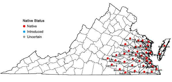 Locations ofQuercus nigra Linnaeus in Virginia
