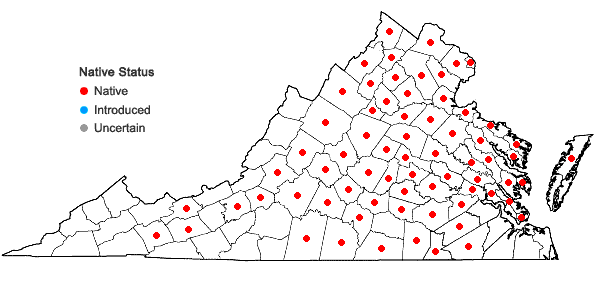 Locations ofQuercus palustris Muenchhausen in Virginia