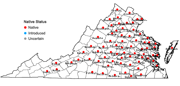 Locations ofQuercus palustris Muenchhausen in Virginia
