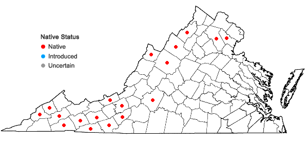 Locations ofQuercus rubra L. var. borealis (F. Michaux) Farwell in Virginia