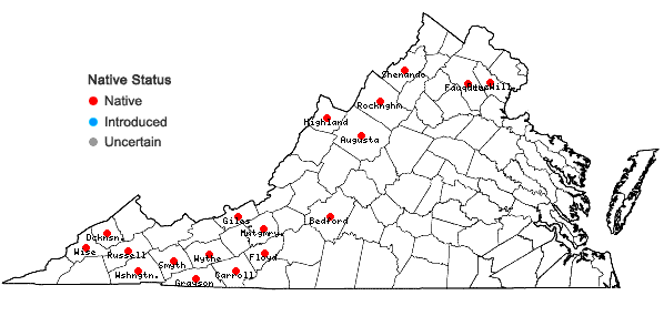 Locations ofQuercus rubra L. var. borealis (F. Michaux) Farwell in Virginia