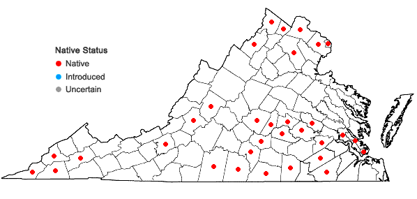 Locations ofQuercus shumardii Buckley in Virginia