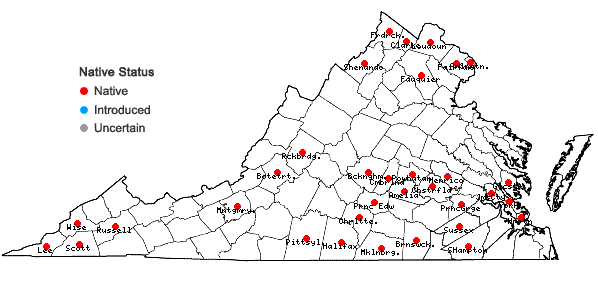 Locations ofQuercus shumardii Buckley in Virginia