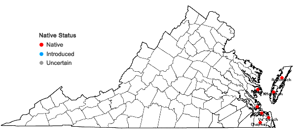 Locations ofQuercus virginiana Miller in Virginia