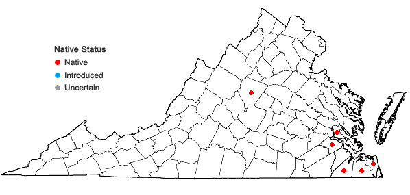 Locations ofRadula australis Austin in Virginia