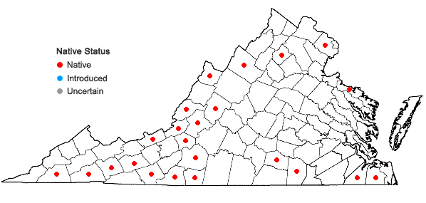 Locations ofRadula complanata (L.) Dumort. in Virginia