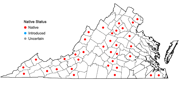Locations ofRadula obconica Sullivant in Virginia