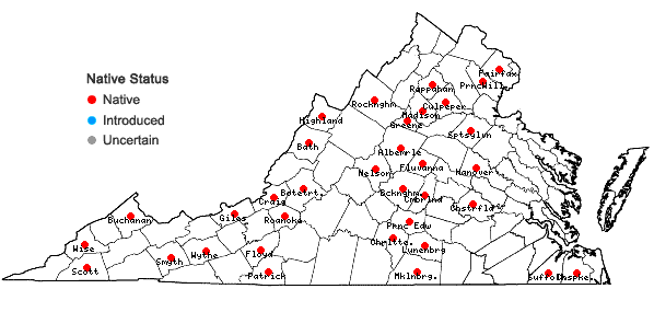 Locations ofRadula obconica Sullivant in Virginia