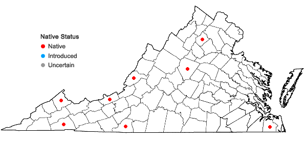 Locations ofRadula quadrata Gottsche in Virginia