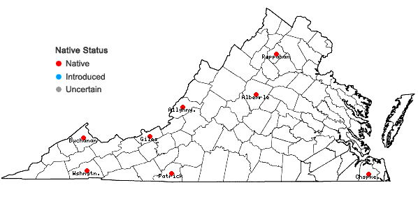 Locations ofRadula quadrata Gottsche in Virginia