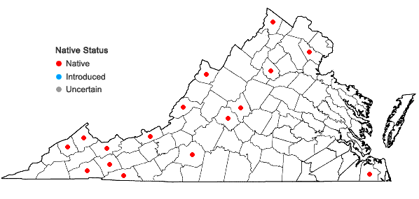 Locations ofRadula tenax Lindberg in Virginia