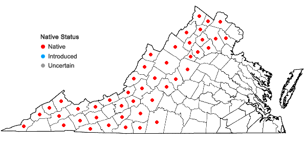 Locations ofRanunculus allegheniensis Britt. in Virginia