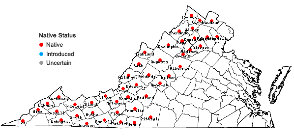 Locations ofRanunculus allegheniensis Britt. in Virginia