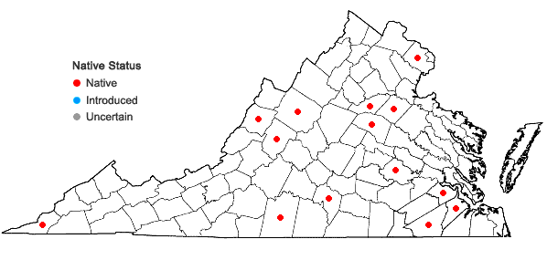 Locations ofRanunculus ambigens S. Wats. in Virginia