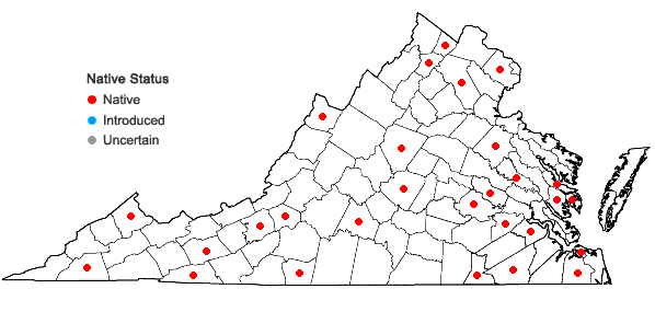 Locations ofRanunculus carolinianus DC. in Virginia