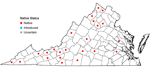 Locations ofRanunculus fascicularis Muhl. ex Bigelow in Virginia