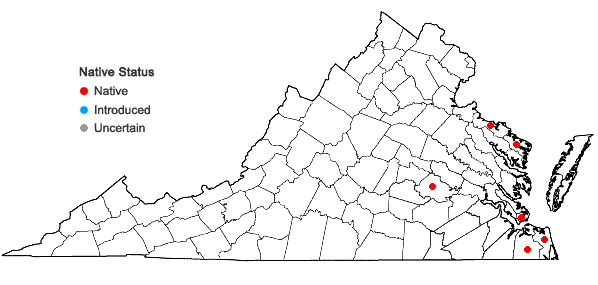 Locations ofRanunculus hederaceus L. in Virginia