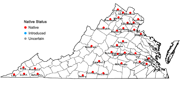 Locations ofRanunculus micranthus Nutt. in Virginia