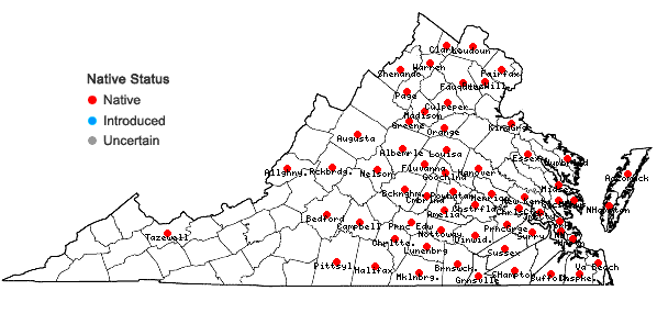 Locations ofRanunculus pusillus Poir. in Virginia
