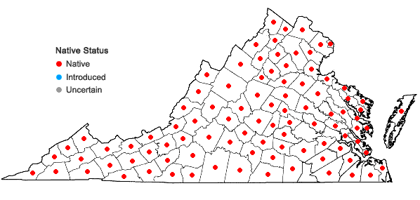Locations ofRanunculus recurvatus Poir. var. recurvatus in Virginia