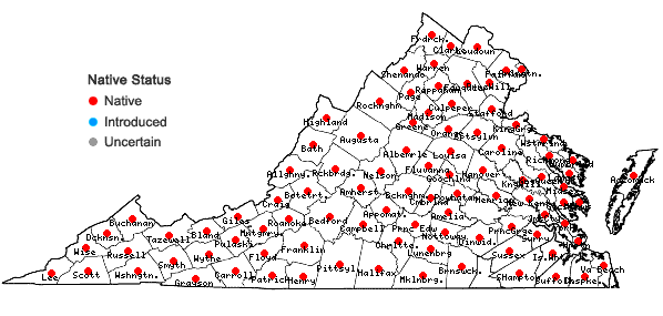 Locations ofRanunculus recurvatus Poir. var. recurvatus in Virginia