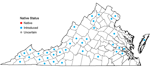 Locations ofRanunculus repens L. in Virginia