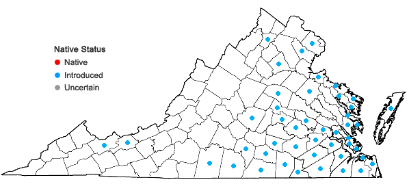 Locations ofRanunculus sardous Crantz in Virginia