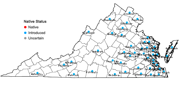 Locations ofRaphanus raphanistrum  L. in Virginia