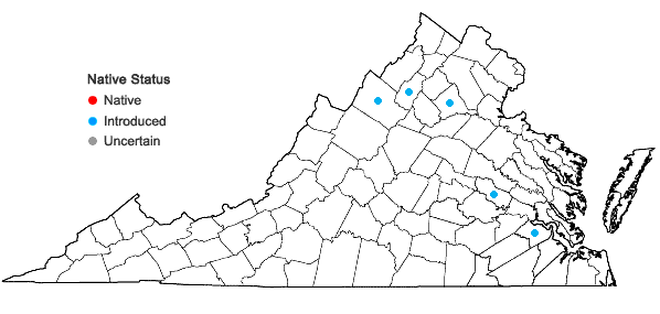 Locations ofRaphanus sativus Linnaeus in Virginia