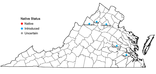 Locations ofRaphanus sativus Linnaeus in Virginia