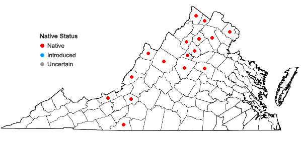 Locations ofRauiella scita (P. Beauv.) Reimers in Virginia