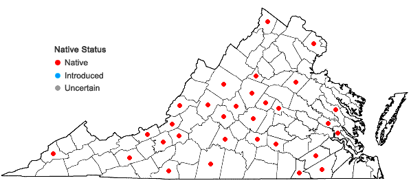 Locations ofReboulia hemisphaerica (L.) Raddi in Virginia