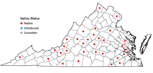 Locations ofReboulia hemisphaerica (L.) Raddi in Virginia