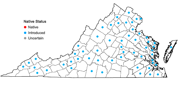 Locations ofReynoutria japonica Houttuyn var. japonica in Virginia