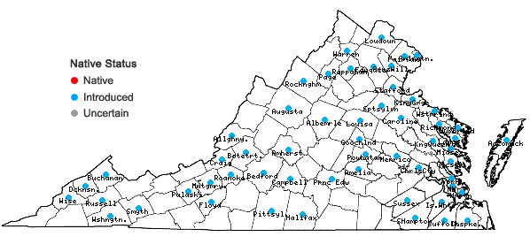 Locations ofReynoutria japonica Houttuyn var. japonica in Virginia