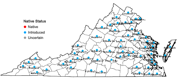 Locations ofReynoutria japonica Houttuyn var. japonica in Virginia