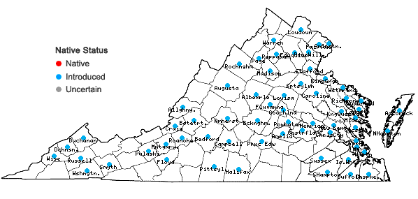 Locations ofReynoutria japonica Houttuyn var. japonica in Virginia