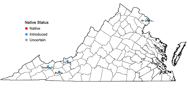 Locations ofRhamnus cathartica L. in Virginia