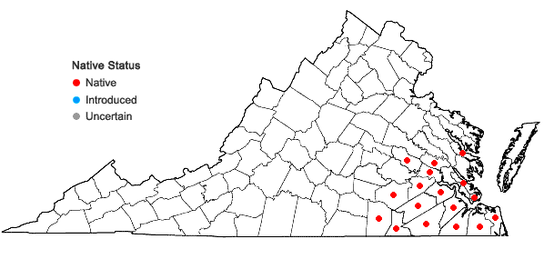 Locations ofRhexia nashii Small in Virginia