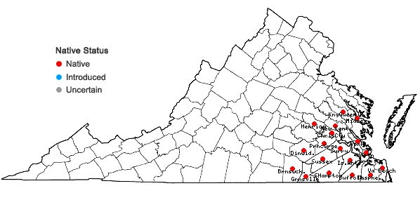 Locations ofRhexia nashii Small in Virginia