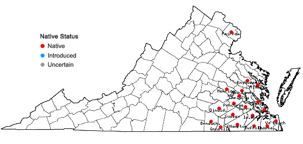 Locations ofRhexia nashii Small in Virginia