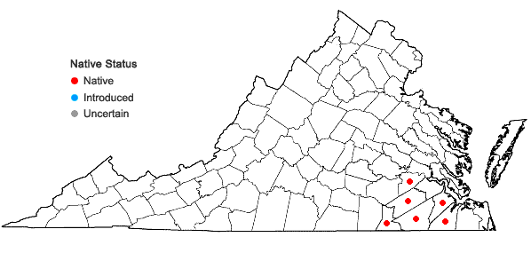 Locations ofRhexia petiolata Walt. in Virginia