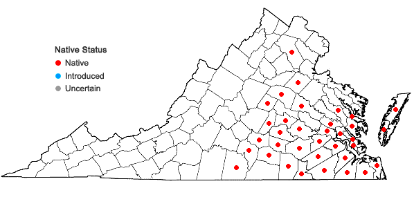 Locations ofRhexia ventricosa Fernald & Griscom in Virginia