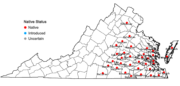 Locations ofRhexia ventricosa Fernald & Griscom in Virginia