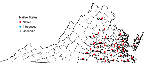 Locations ofRhexia ventricosa Fernald & Griscom in Virginia
