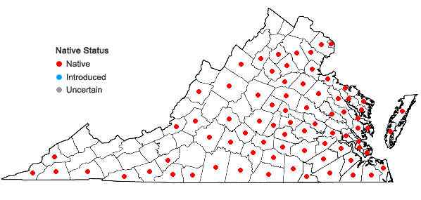 Locations ofRhexia virginica L. in Virginia